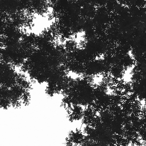 亚洲一区2区三区4区5区
