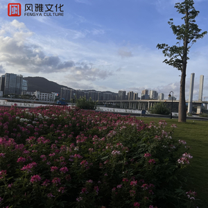 亚洲一区2区三区4区5区
